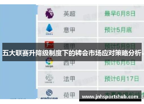 五大联赛升降级制度下的转会市场应对策略分析