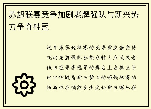 苏超联赛竞争加剧老牌强队与新兴势力争夺桂冠